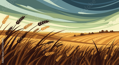 Stunning wheat field landscape with dramatic sky, perfect for agricultural marketing, rural lifestyle content, or evoking a sense of natural beauty and harvest season