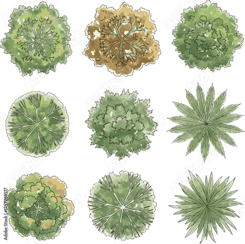 Isolated a kinds of deferent Vector tree top watercolor hand drawn view landscape plan and architecture layout drawing, elements for environment and garden vector art with white background..