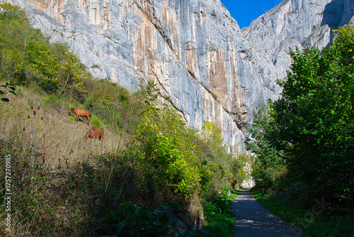 senda del oso, Teverga, Asturias, España, Spain