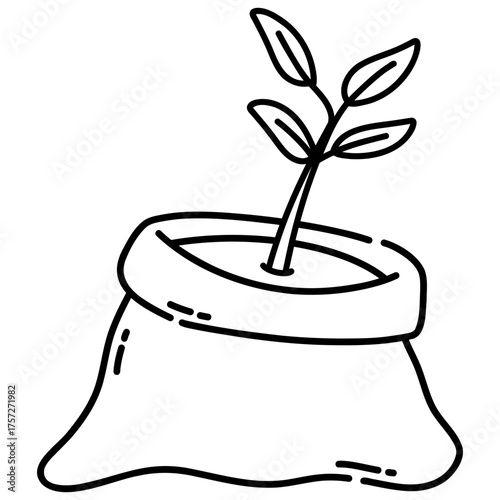 plant in sack pot