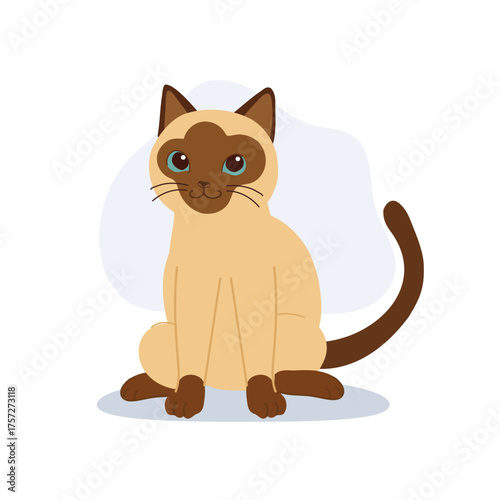adorable siamese cat sitting.for cat lover prints pet shop branding cards and cozy home themed graphics