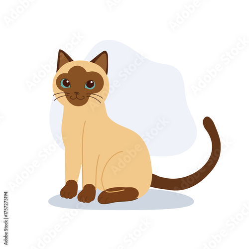 a brown and cream kitten,adorable siamese cat sitting calmly for pet lovers.