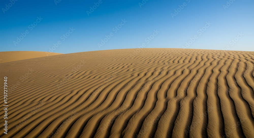 Naklejka premium The intricate patterns of wind-blown sand on a dune's surface.
