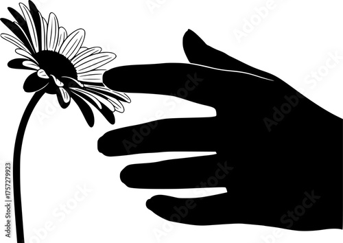 Human Hand Touching Flower Silhouette. Gentle Touch, Floristry, Nature, Daisy, Tulip, Botanical, Wellness, Vector Art, Isolated Black.