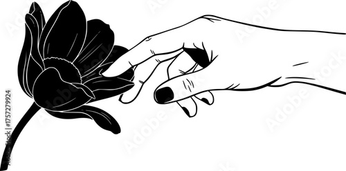 Human Hand Touching Flower Silhouette. Gentle Touch, Floristry, Nature, Daisy, Tulip, Botanical, Wellness, Vector Art, Isolated Black.