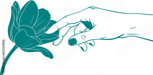 Human Hand Touching Flower Silhouette. Gentle Touch, Floristry, Nature, Daisy, Tulip, Botanical, Wellness, Vector Art, Isolated Black.