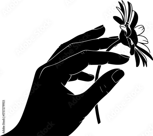 Human Hand Touching Flower Silhouette. Gentle Touch, Floristry, Nature, Daisy, Tulip, Botanical, Wellness, Vector Art, Isolated Black.
