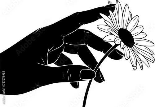 Human Hand Touching Flower Silhouette. Gentle Touch, Floristry, Nature, Daisy, Tulip, Botanical, Wellness, Vector Art, Isolated Black.