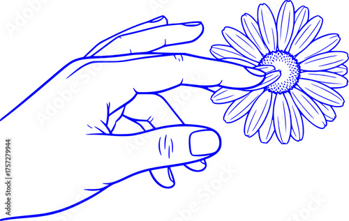 Human Hand Touching Flower Silhouette. Gentle Touch, Floristry, Nature, Daisy, Tulip, Botanical, Wellness, Vector Art, Isolated Black.