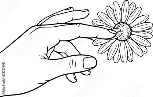 Human Hand Touching Flower Silhouette. Gentle Touch, Floristry, Nature, Daisy, Tulip, Botanical, Wellness, Vector Art, Isolated Black.