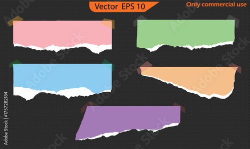 Torn paper with space for text. Paper different scraps set ripped page piece. Torn note paper page. Ripped note notebook grainy paper strips stuck. EPS 10	
