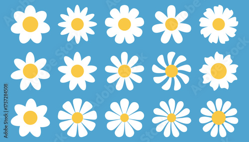 Set of simple white daisy flower head in flat cartoon style. Minimal floral element for spring or summer decoration, design, logo, packaging, textile, postcard, or digital illustration project.