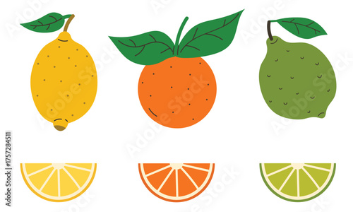 Set of citrus fruits like lemon, lime, orange with leaves and wedges in flat cartoon style. Bright fruit illustration for print, packaging, sticker, textile, card, poster, or web design.