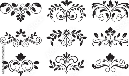 Elegant floral dividers ornamental borders collection