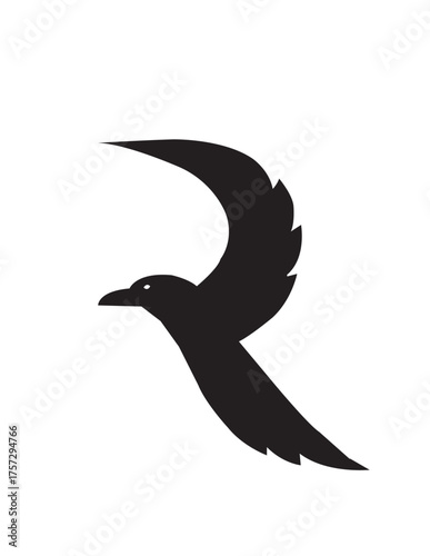 vector illustration of a bird