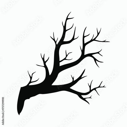Silhouette of a bare tree branch isolated on white background for design