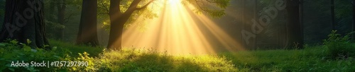 A sunbeam illuminates a tranquil forest scene, suggesting a spiritual awakening through nature's beauty Perfect for meditation, mindfulness, and spiritual growth themes , wonder, leaves, spiritual
