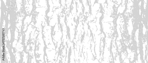 Tree bark texture