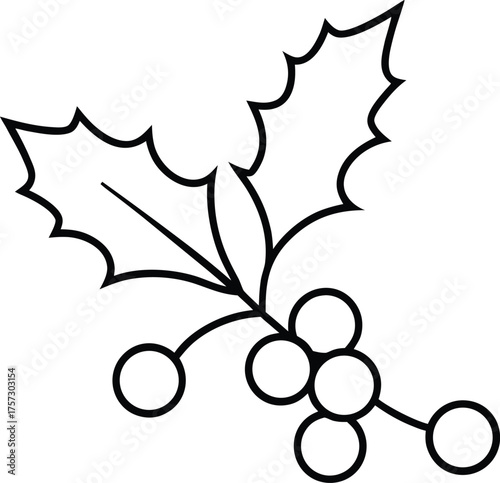 holly branch with berries single line art illustration on transparent background