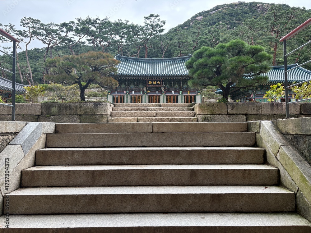 Fototapeta premium 아래에서 올려다본 사찰