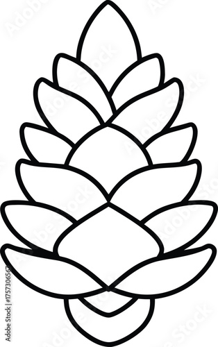 pine cone sketch minimal single line illustration on transparent background