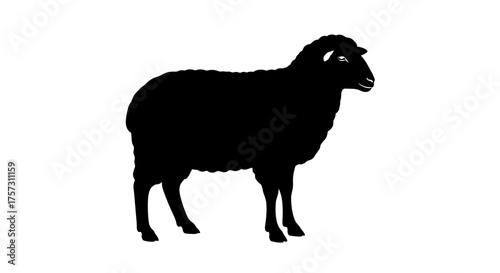 A striking black sheep silhouette stands prominently against a clean white background, representing agriculture, livestock, and farm animals.