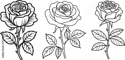 rose flower Line Art Illustration, Coloring Book Page Line Art Drawing