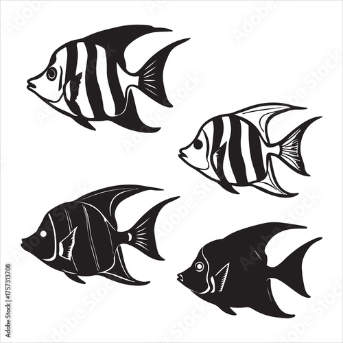High Resolution Image of a Stunning Angelfish, Its Vibrant Striped Scales and Long Fins Bringing the Aquatic Beauty of a Freshwater Aquarium to Life.