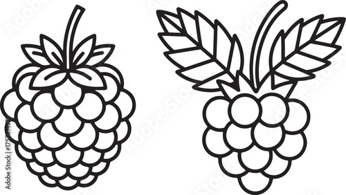 berry Line Art Illustration, Coloring Book Page Line Art Drawing