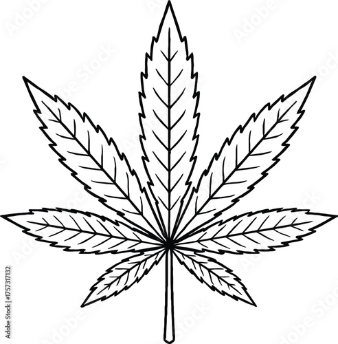Cannabis leaf outline vector illustration medical marijuana and hemp plant