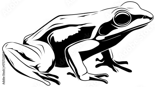 A stark black and white illustration of a frog in profile, body details emphasized by bold outlines