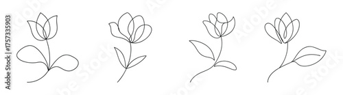Exquisite line art cyclamen flower studies delicate blooms detailed botanical sketch series artistic floral art