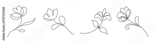 Delicate delphinium flower line art design four variations elegant botanical sketch