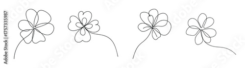 Sketch of four geranium flowers delicate line art botanical drawing floral element graphic