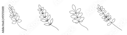 Four delicate sketchy black and white drawings of lupine flower spikes with fine detail and artistic flair
