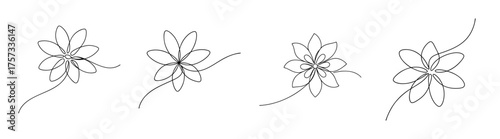 Delicate black and white line art sketches of intricate passionflower blooms and vine tendrils