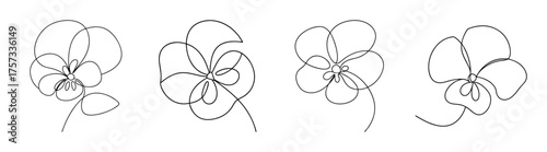 Delicate hand drawn sketch of four pansy flowers showing petal details and delicate stem lines