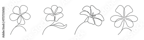 Four delicate line art drawings of petunia flowers showing detailed petals and stems