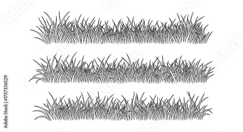 Three different rows of grass are depicted in a simple black and white drawing style.
