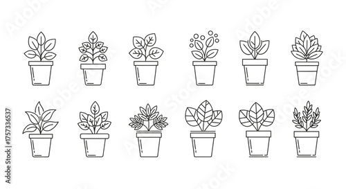 Collection of potted plants in a line art style, perfect for adding a touch of nature to any.
