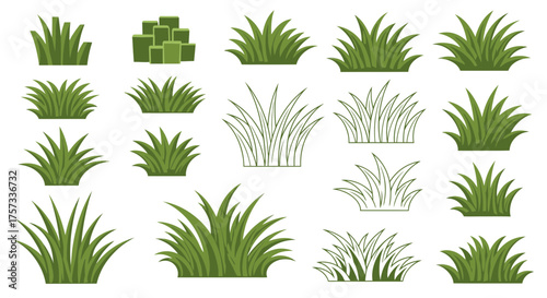 Collection of various green grass tufts and bushes isolated on a white surface, some are filled and.