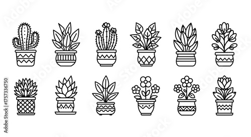 Collection of various potted plants in a row, including cacti and flowering plants, all rendered in.