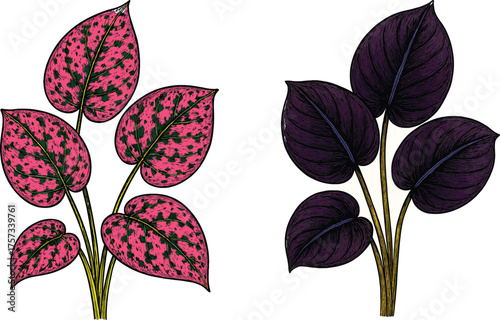 Urban Jungle Greenery: Indoor Plants Leaves Vector Illustration - Botanical Home Companions Dancing With Fresh Verdant Living Beauty