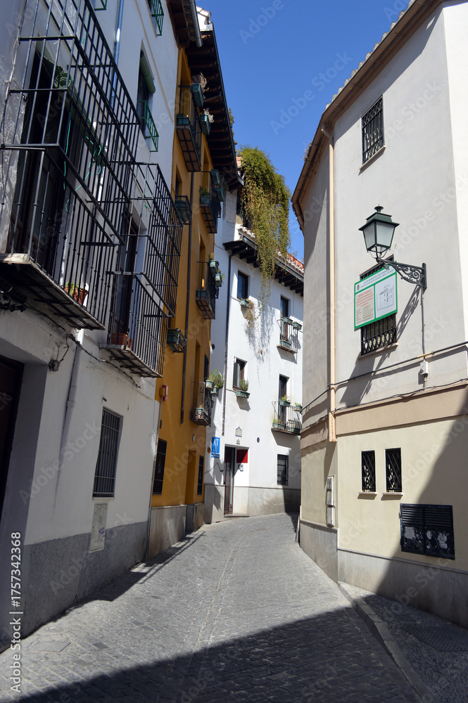 Fototapeta premium Narrow street in Granada