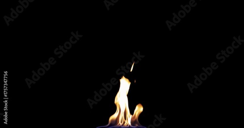 Small torch fire - small camp fire - fire and flames - isolated on black background