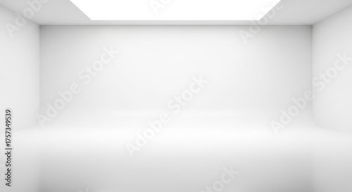 Expansive White Studio Seamless Background for Photography and Videography