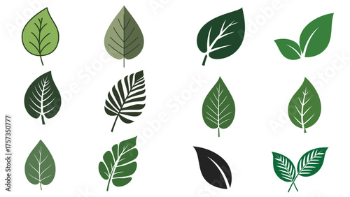 Collection of green leaf icons in flat vector style representing nature, ecology, growth and organic design elements