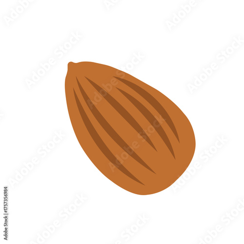 Simple flat illustration of a single brown almond on a white background. Minimal clean design representing healthy food, organic nuts, natural nutrition, and plant-based diet concepts.