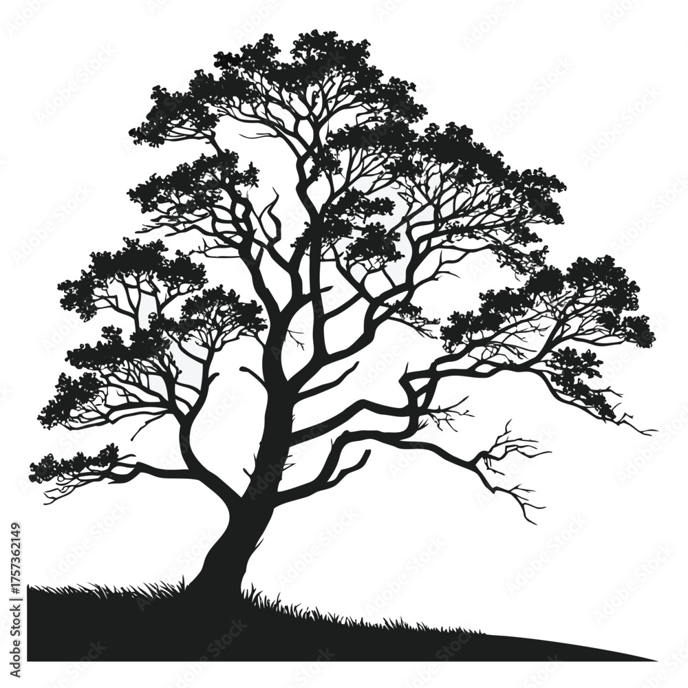 Obraz premium tree silhouette vector illustration on white background