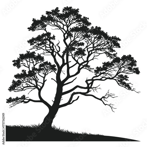 tree silhouette vector illustration on white background